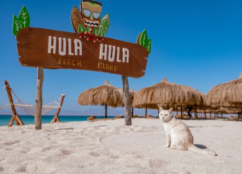 Wyspa Hula Hula Hurghada