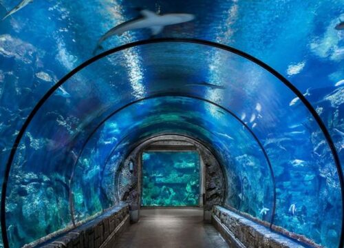 GRAND AQUARIUM